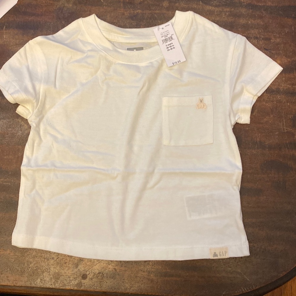 Gap 3T
